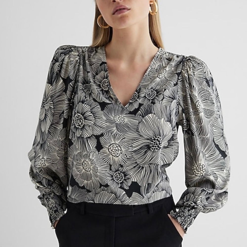 Express long sleeve, v-neck, puff sleeve top